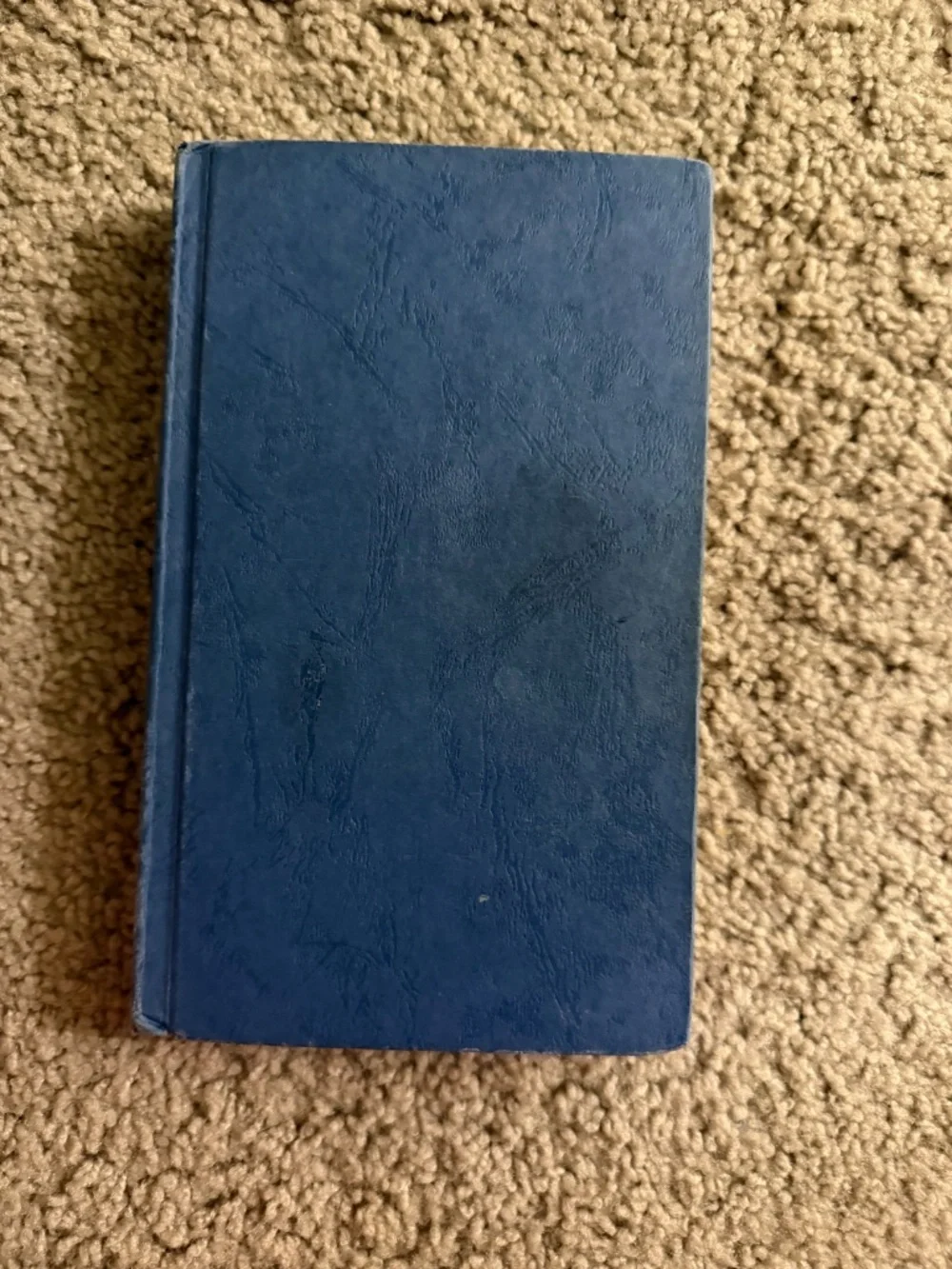 Emerald Green & Sapphire Blue by Kerstin Gier Books